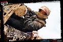 DSC05256LOORRS3