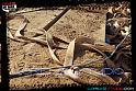 DSC05375LOORRS3