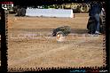 DSC06317LOORRS3