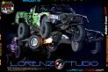 DSC08995LOORRS7