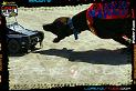 DSC09227LOORRS8