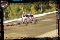 DSC02591LOORRS8