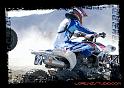 DSC06932_bordered