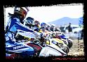 DSC07498_bordered