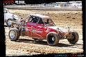 DSC05679loorrs1satn