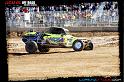 DSC06603loorrs1satn