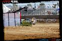 DSC06701loorrs1satn