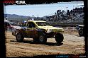 DSC07683loorrs1sunn