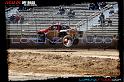 DSC07699loorrs1sunn
