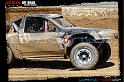 DSC07795loorrs1sunn