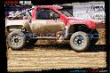 DSC07798loorrs1sunn