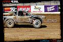 DSC07831loorrs1sunn
