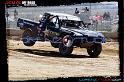 DSC07871loorrs1sunn