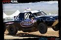 DSC08053loorrs1sunn