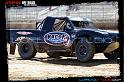 DSC08055loorrs1sunn