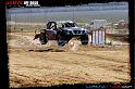 DSC08086loorrs1sunn