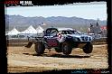 DSC08090loorrs1sunn