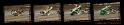 DSC08147-8150_collage