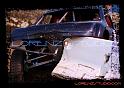 DSC08240_bordered