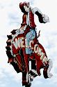 day14_jackson_cowboy-744614
