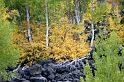 day6_truckee_river_camp1-741420