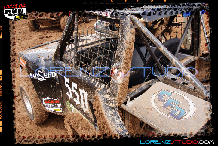 DSC04950LOORRS3.jpg - SONY DSC