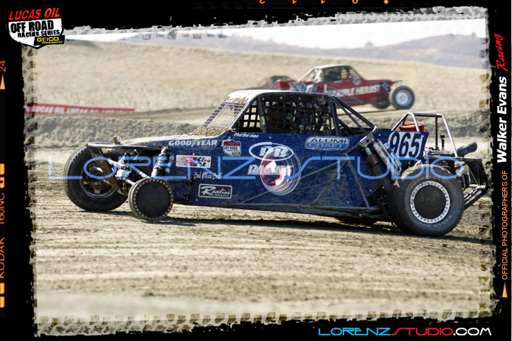 DSC05474BLOORRS5.jpg - SONY DSC