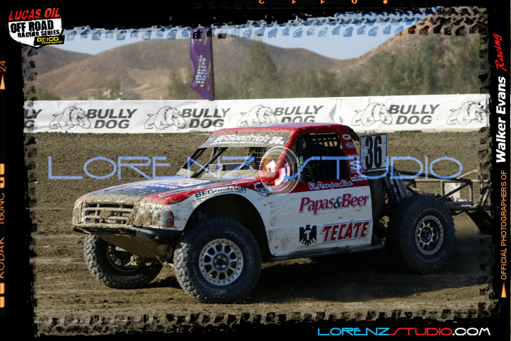 DSC08014LOORRS5.jpg - SONY DSC