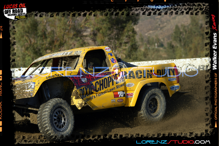 DSC08136LOORRS5.jpg - SONY DSC