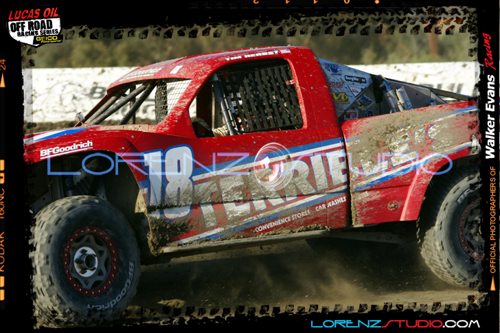 DSC08153LOORRS5.jpg - SONY DSC