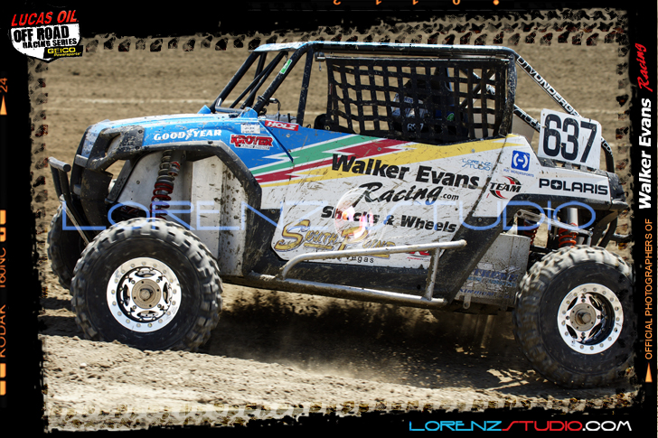 DSC02396LOORRS5.jpg - SONY DSC