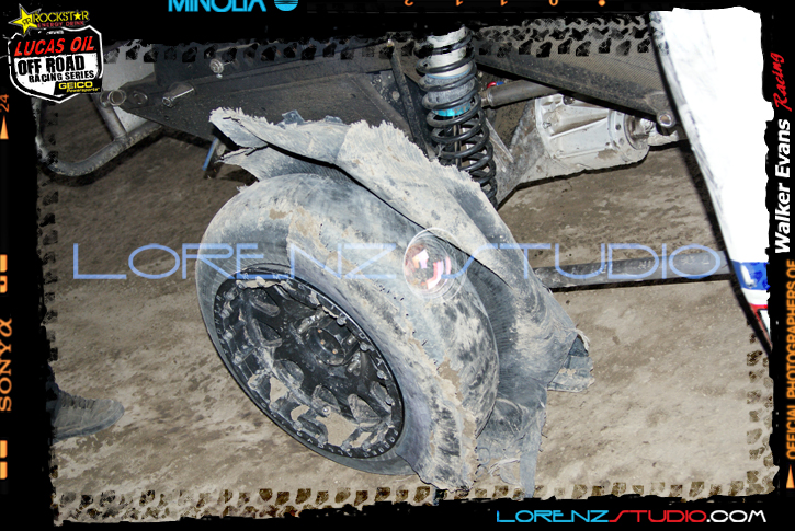 DSC06631LOORRS7.jpg - SONY DSC