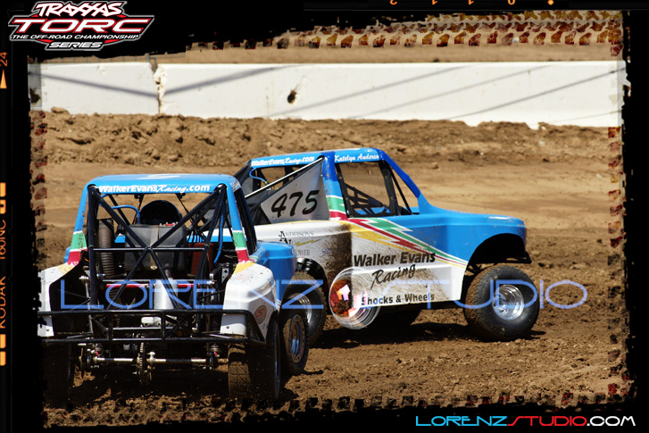 DSC02244TORCP.jpg - SONY DSC