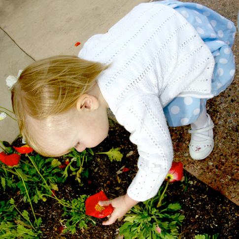 DSC05316cc.jpg - SONY DSC