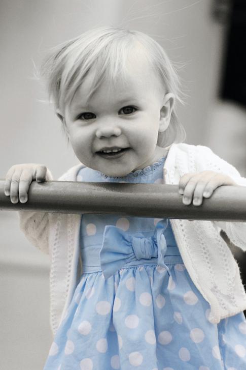 DSC06003cc.jpg - SONY DSC