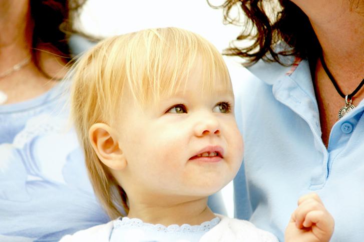 DSC06014cc.jpg - SONY DSC