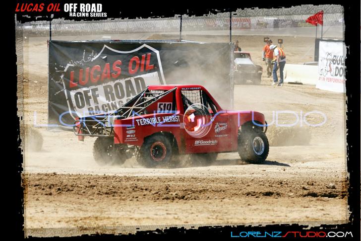 DSC07318loors1sunm.jpg - SONY DSC