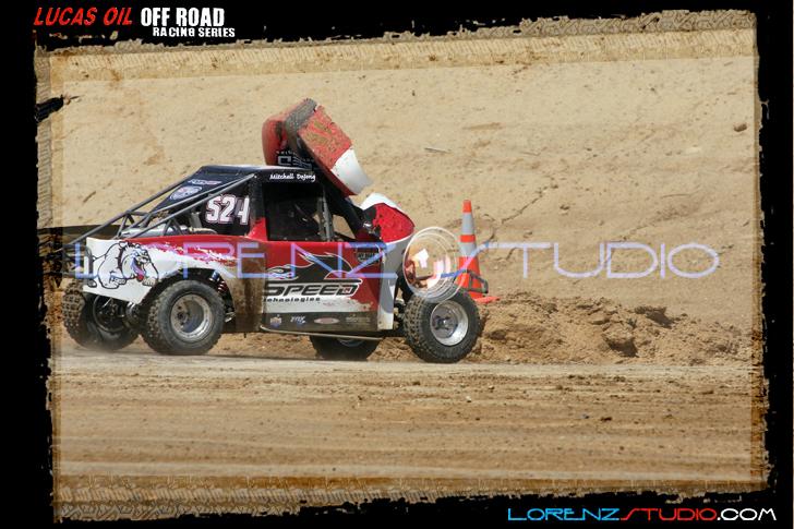 DSC07339loors1sunm.jpg - SONY DSC