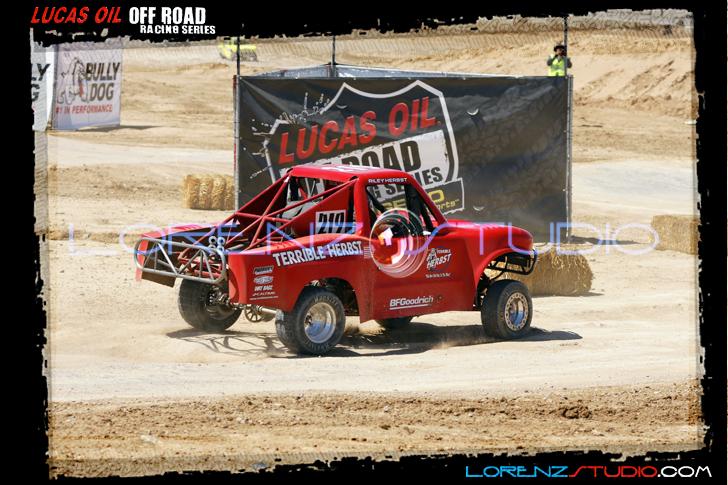 DSC07381loors1sunm.jpg - SONY DSC