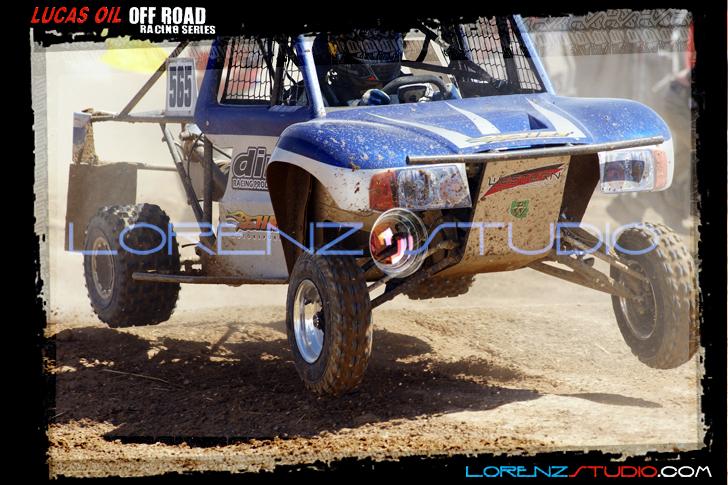 DSC08356loorrs1sunn.jpg - SONY DSC