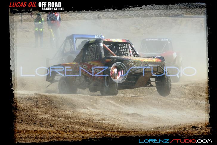 DSC08378loorrs1sunn.jpg - SONY DSC