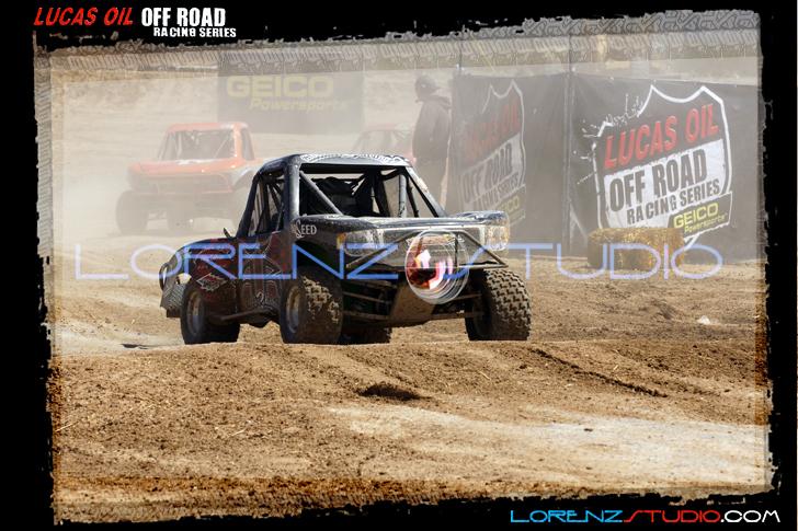 DSC08484loorrs1sunn.jpg - SONY DSC