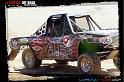DSC08231loorrs1sunn