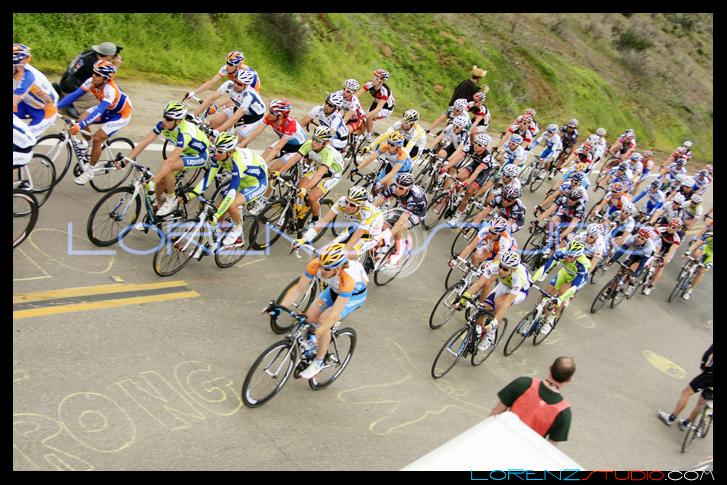 DSC03753.jpg - SONY DSC